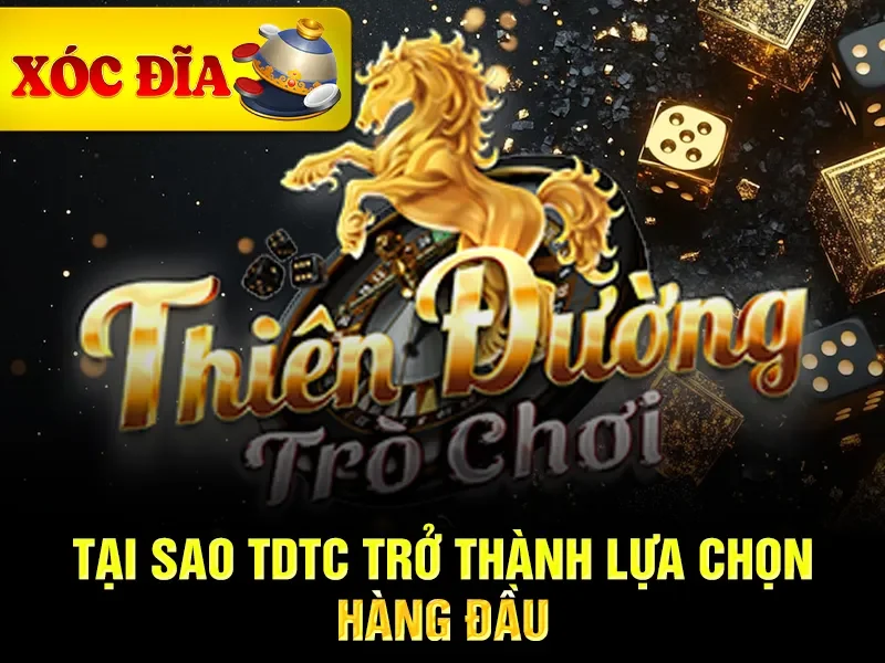 Tại sao TDTC trở thành lựa chọn hàng đầu