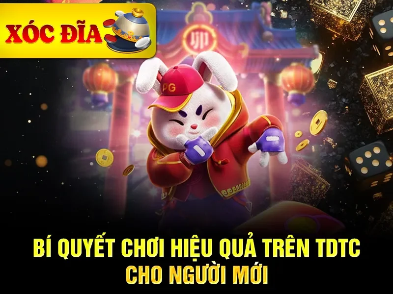 Bí quyết chơi hiệu quả trên TDTC cho người mới