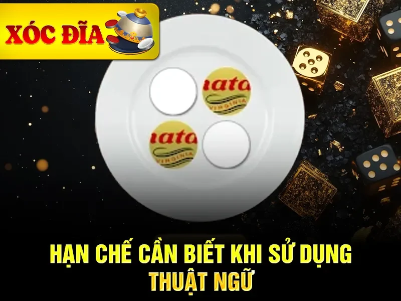 Hạn chế cần biết khi sử dụng thuật ngữ