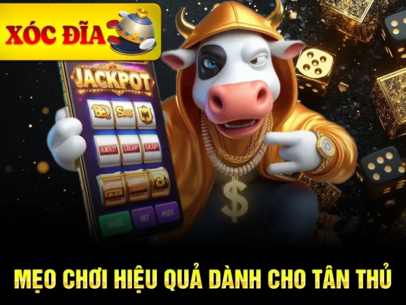 Mẹo chơi hiệu quả dành cho tân thủ